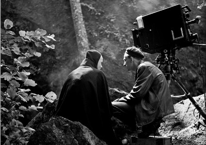 fot. materiały promocyjne dystrybutora