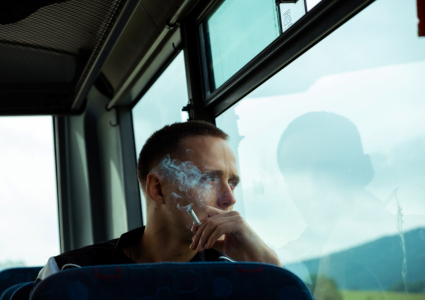 fot. materiały promocyjne dystrybutora