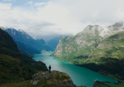 Fot. materiały dystrybutora