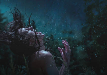 fot. materiały dystrybutora