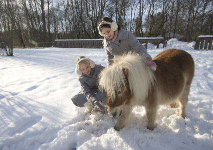 fot. materiały promocyjne dystrybutora