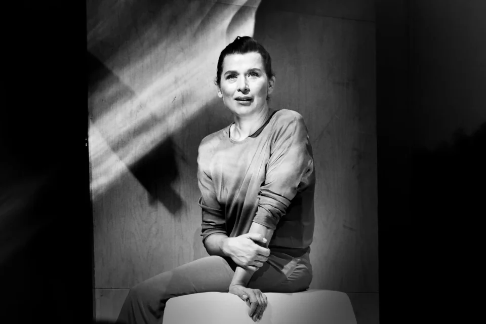 OLYMPUS DIGITAL CAMERA          03 18 2016 LUBLIN TEATR STARY Letnie osy kasaja nas nawet w listopadzie Teatr Dramatyczny M. St. Warszawy FOT DOROTA AWIORKO