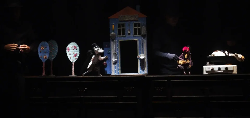 OLYMPUS DIGITAL CAMERA