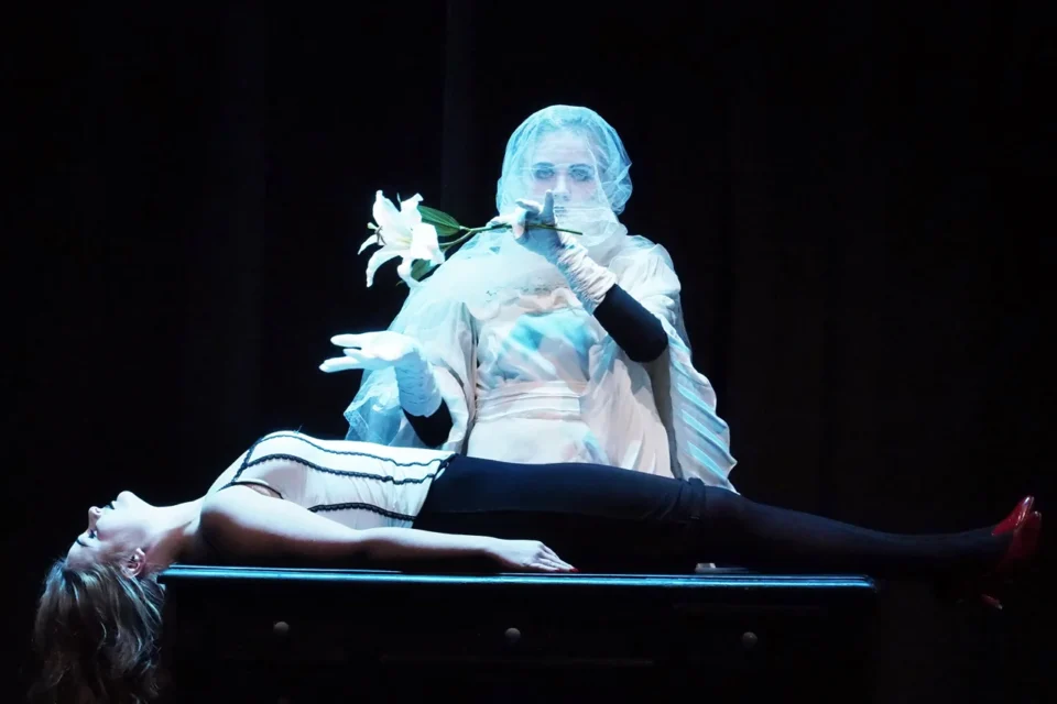 04 10 2016 LUBLIN TEATR STARY Calineczka dla dorosłych  Teatr Montownia / Warszawa FOT DOROTA AWIORKO