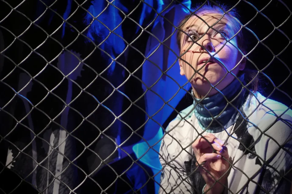 18 06 2017 LUBLIN UL JEZUICKA TEATR STARY PRZEDSTAWIENIE DLA DZIECI PT „ DZIOB W DZIOB ” - MIEJSKIE CENTRUM KULTURY W TYCHACH FOT. WOJCIECH NIESPIALOWSKI