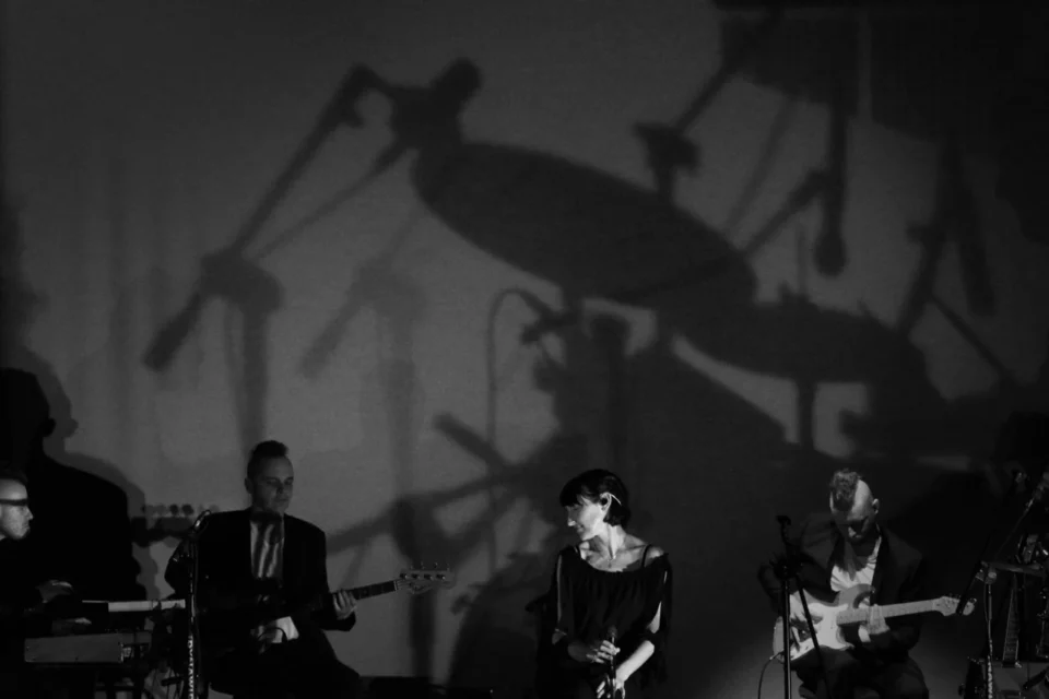 FOT DOROTA AWIORKO - KLIMEK