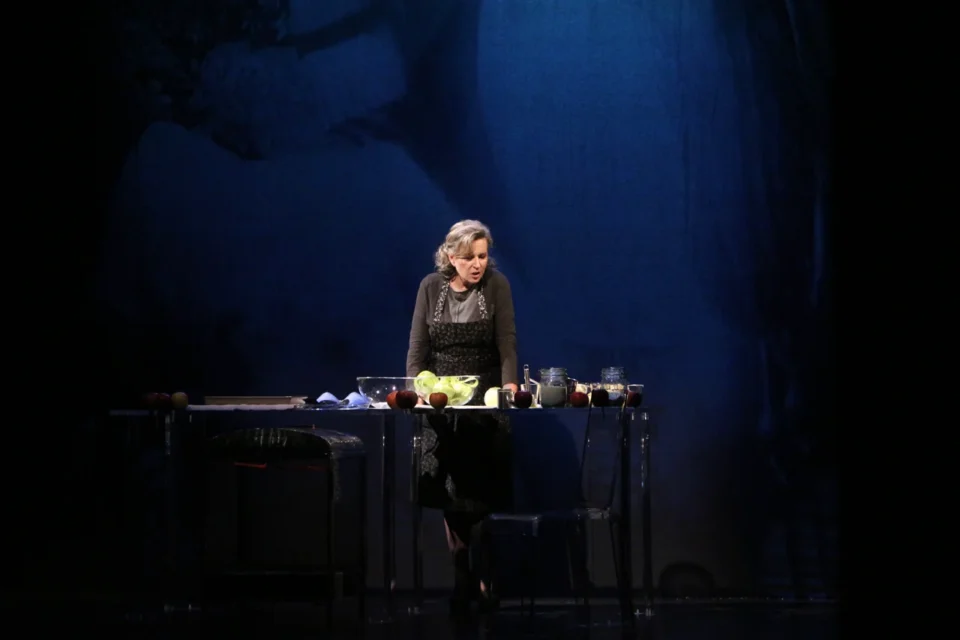 01 12 2012 LUBLIN TEATR STARY SPEKTAKL PT DANUTA W . WYSTAPILA KRYSTYNA JANDA FOT DOROTA AWIORKO - KLIMEK