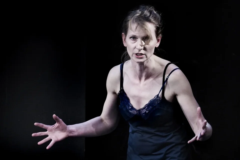 21 05 2016 LUBLIN MECZENNICY TEATR DRAMATYCZNY W WALBRZYCHU I TEATR WSPOLCZESNY W SZCZECINIE TEATR STARY  FOT DOROTA AWIORKO