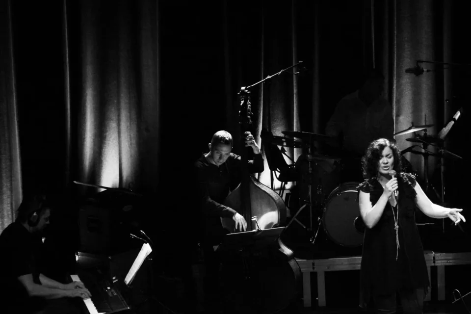 18.09.2013 LUBLIN UL JEZUICKA TEATR STARY KONCERT Aniay Michalowskiej FOT DOROTA AWIORKO - KLIMEK