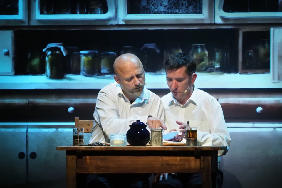 23 06 2017 LUBLIN UL JEZUICKA TEATR STARY KINOTEATR MUMIO " WELCOME HOME BOYS " FOT WOJCIECH NIESPIALOWSKI