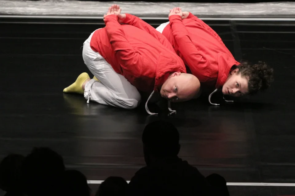13 01 2013 LUBLIN UL JEZUICKA TEATR STARY TEATR PODLOGOWO LALE FOT DOROTA AWIORKO - KLIMEK