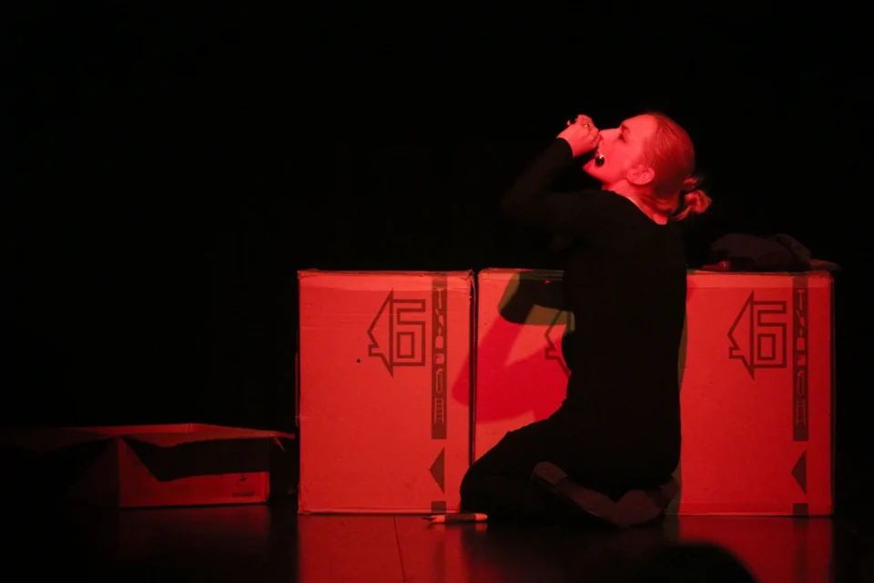 15 02 2013 UL JEZUICKA LUBLIN TEATR STARY TEATR KONSEKWENTNY Z WARSZAWY - I BEDA SWIETA FOT DOROTA AWIORKO - KLIMEK