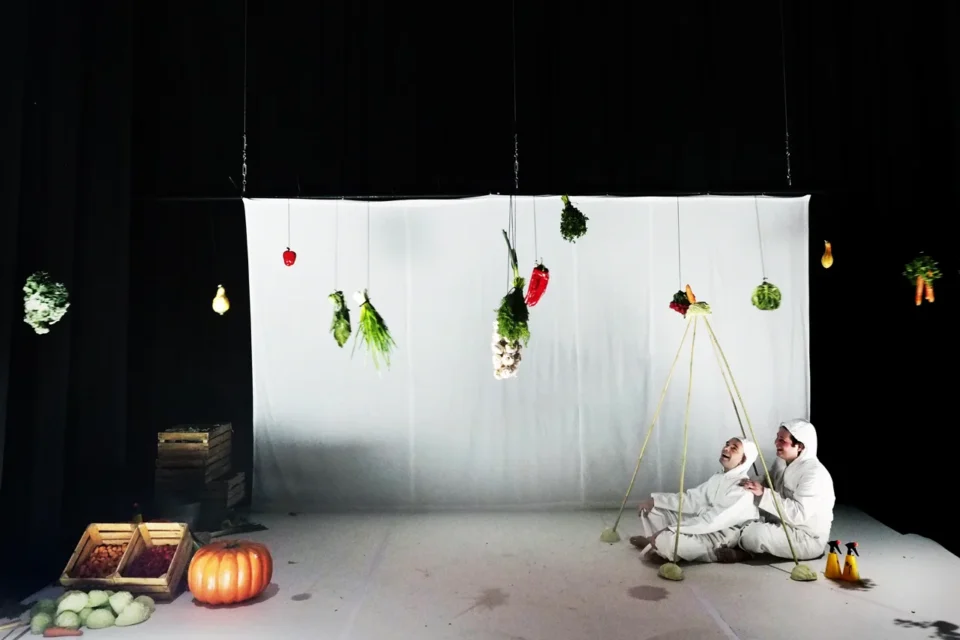 17 01 2016  TEATR STARY WARZYWA SA Z KOSMOSU TEATR MALEGO WIDZA FOT DOROTA AWIORKO