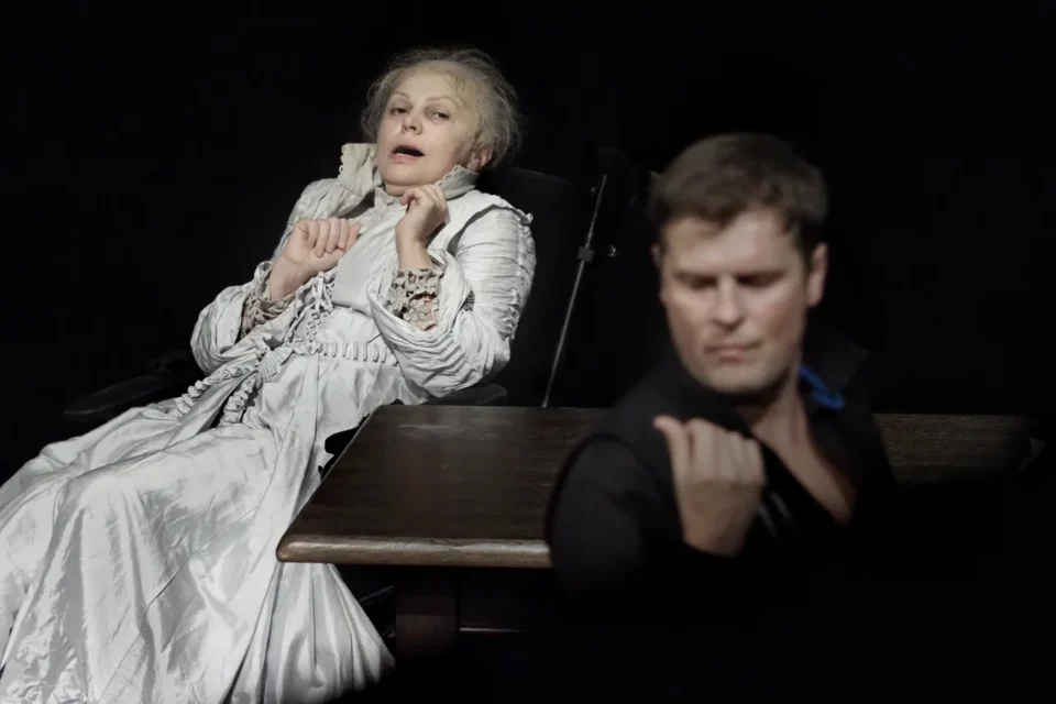 29 10 2017 UL JEZUICKA LUBLIN TEATR STARY SPEKTAKL  Z zycia glist  Teatr Miejski im  Witolda Gombrowicza w Gdyni FOT DOROTA AWIORKO